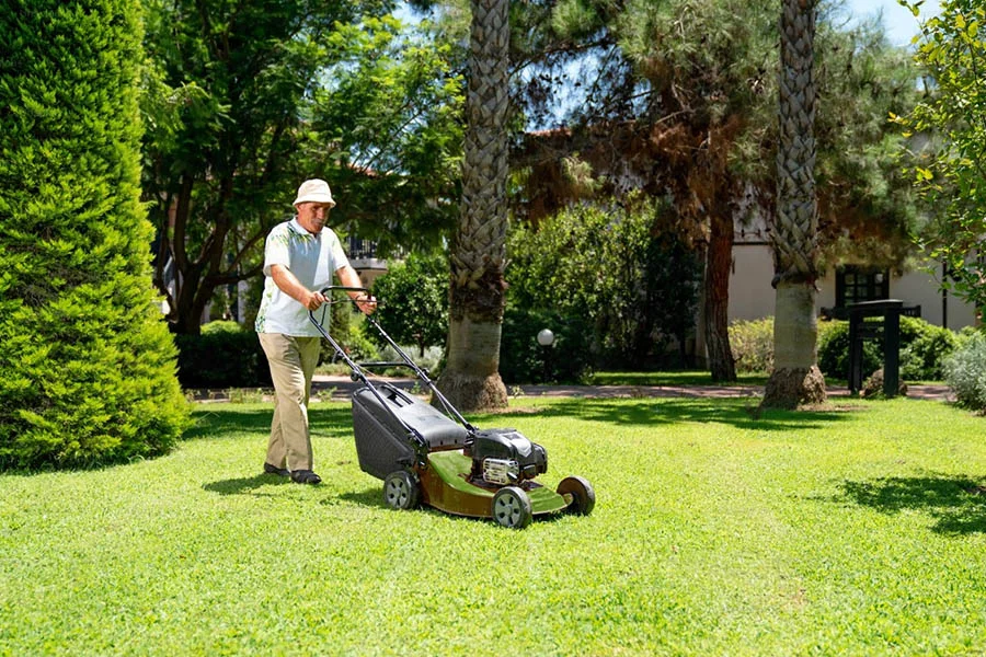 cordless electric lawnmower